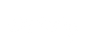 logo-banner-2
