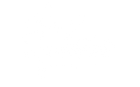 logo-banner-4