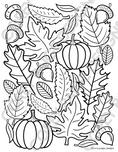 Load image into Gallery viewer, Seasons Coloring Sheet Pack
